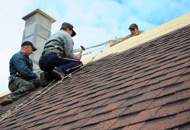 Best Best Roofing Contractors  in Vardaman, MS